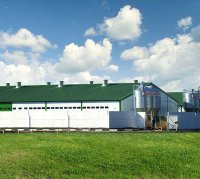 Строительство крупнейшего в России свинокомплекса началось в Свердловской области
