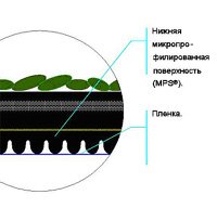      MICRO-PROFILE-SYSTEM