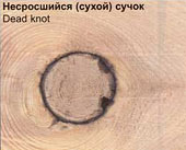 Пороки