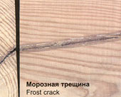 Пороки