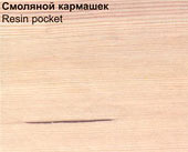 Пороки