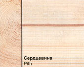 Пороки